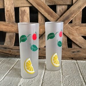 Frosted Fruit Glass Tall Tea Tom Collins Federal 50s Tiki Vintage set of 2 (25)